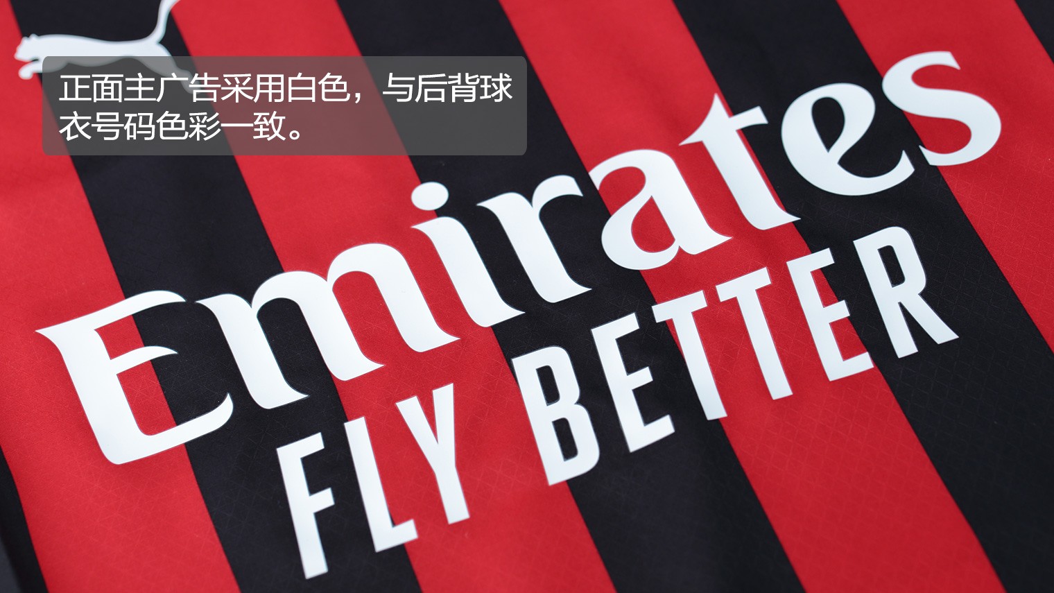 投篮靠谱！浙江新外援兰道夫14中8贡献28分，三分5中4（手感火热！浙江新援兰道夫14投8中砍28分，三分5投4中）