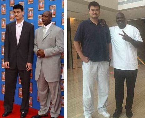 英超俱乐部最快达成50场零封门将前10：切赫第1，拉亚第5（英超门将50场零封达成速度前十：切赫居首，拉亚第五）